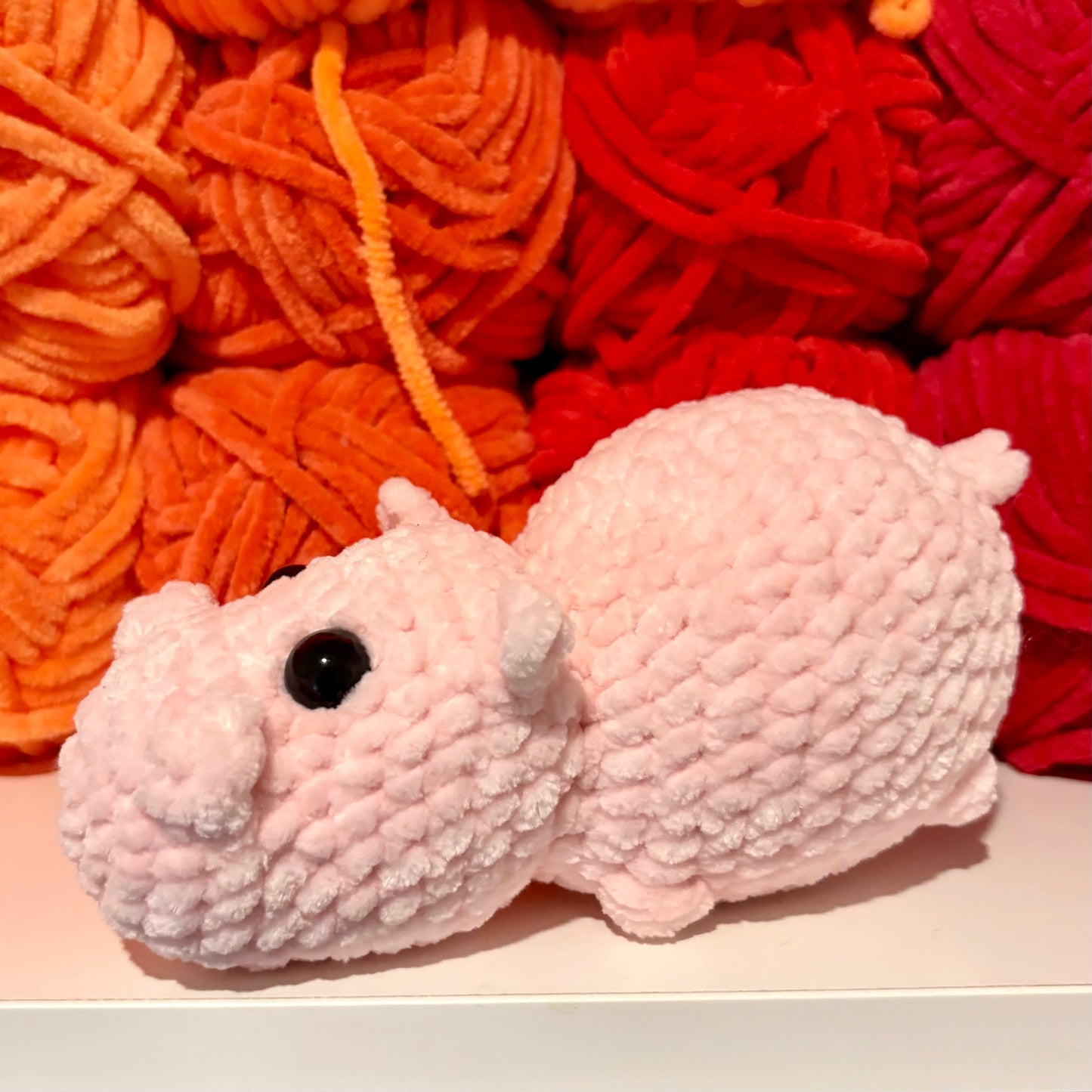 Hippopotamus